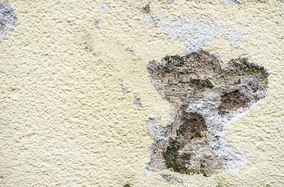 Jak naprawić dziurę w elewacji: prosty poradnik krok po kroku 2025