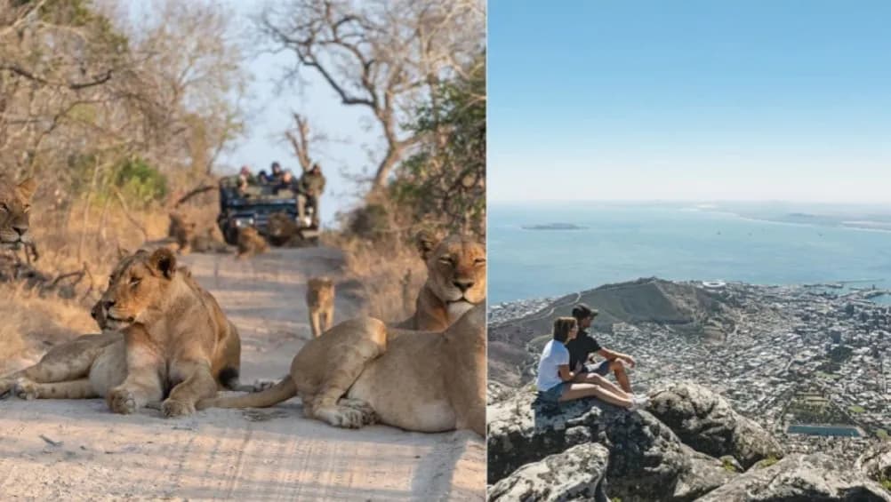 Elewacje w Południowej Afryce: jak je zabezpieczyć